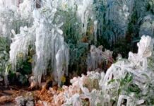 Bajas temperaturas dejan escarcha en 22 municipios de Puebla temperaturas