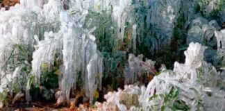 Bajas temperaturas dejan escarcha en 22 municipios de Puebla temperaturas