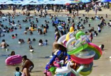 Acapulco: Cifra de muertos continúa en 52; avanza reapertura hotelera Acapulco