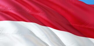 Suman cuatro mexicanos detenidos por tiroteo en Bali, Indonesia Bali