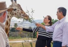 Sergio Salomón y Africam Safari dan bienvenida a Benito Benito
