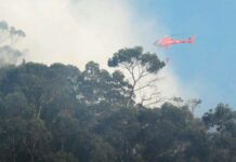 Colombia enfrenta 21 incendios simultáneos por ‘El Niño’