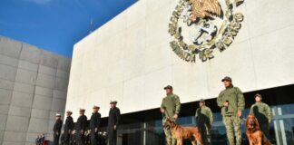 Se jubilan Ecko y Max, perros rescatistas de la Marina