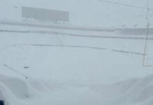 Reprograman el Steelers-Bills por tormenta de nieve
