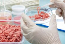Israel autoriza la venta de carne de vacuno cultivada