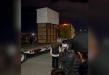 Jirafa Benito cruza Durango en su viaje a Puebla