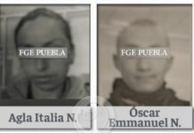 Por maltrato de 12 perritos en falso refugio, los vinculan a proceso