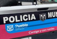 Estudiante sufre asalto camino a la escuela, en San Diego Manzanilla Estudiante