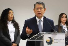 Fiscal confirma dos denuncias por maltrato contra yegua “Mila” Fiscal