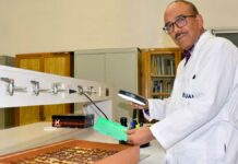 Investigador BUAP analiza insectos como indicadores ambientales Investigador