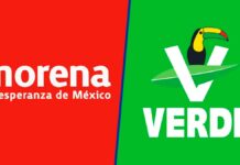 Morena y Partido Verde abarcarán candidaturas a diputaciones locales Morena