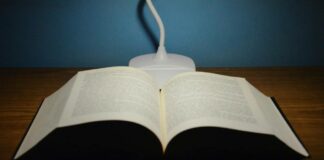 Suecia incluirá asignatura de IA en sistema educativo durante 2024