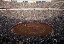 Jueza ordena suspensión de corridas de toros en CDMX