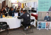 ¿Quieres trabajar en la Riviera Maya? Secretaría de Trabajo anuncia reclutamiento Trabajo