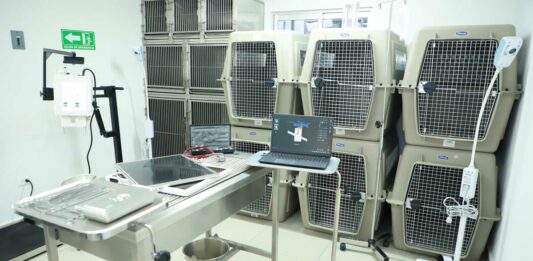 Veterinaria