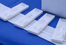 Reporta Puebla cinco casos de dengue: Salud casos