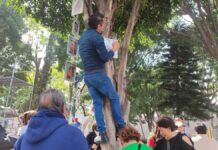 “Nuestros desaparecidos no son boleta de votación”: Colectivo pide respeto a aspirantes desaparecidos