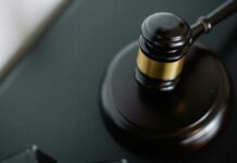 Animalistas urgen tipificar zoofilia como delito grave en Puebla zoofilia