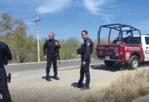 Descartan desplome de avión del Ejército en Coxcatlán