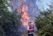 Reportan incendio en ductos de Pemex en Huauchinango