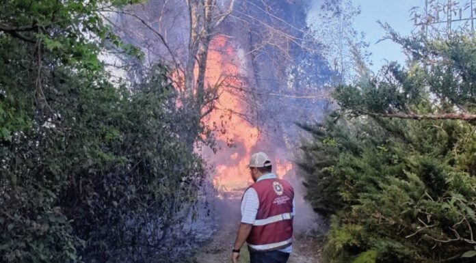 Reportan incendio en ductos de Pemex en Huauchinango