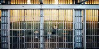 Putin ordena la búsqueda de Oleg Navalny, hermano del fallecido Alexei Navalny Alexei Navalny