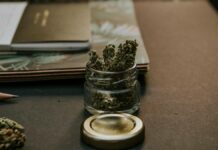 Compra y cultivo de cannabis será legal en Alemania