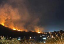 Se incendia Cerro del Chiquihuite en San Francisco Totimehuacan