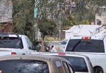 Asesinan a sobrino de Ricardo Monreal en Fresnillo, Zacatecas