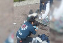 Pierde una pierna Andrea Montiel, estudiante arrollada por un camión