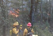 Muere voluntario que combatía incendio forestal en Ixtacamaxtitlán