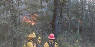Muere voluntario que combatía incendio forestal en Ixtacamaxtitlán