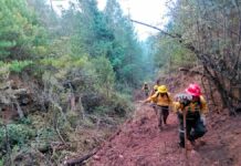 Controlan incendio forestal en Ixtacamaxtitlán