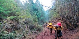 Controlan incendio forestal en Ixtacamaxtitlán