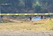 Hallan cadáver calcinado en colonia San Juan Flor del Bosque