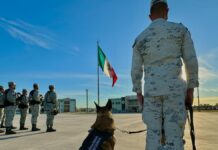 AMLO defiende rol del Ejército ante críticas de Carlos Slim Ejérctio