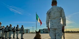 AMLO defiende rol del Ejército ante críticas de Carlos Slim Ejérctio