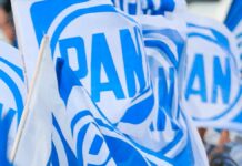 Elizabeth Téllez buscará con PAN candidatura a alcaldía de San Andrés Cholula Elizabeth Téllez