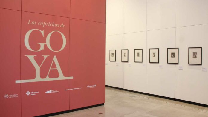 Exposiciones