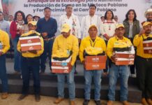 Gobernador inicia estrategia para aumentar producción de sorgo en la Mixteca Gobernador