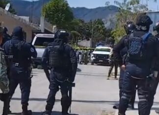 Encuentran cuerpos de 7 personas en casa de Acultzingo, Veracruz Operativo Acaltzingo, Veracruz