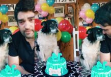 Dueño festeja a su perrito Pipo por 14 años de compañía y se viraliza