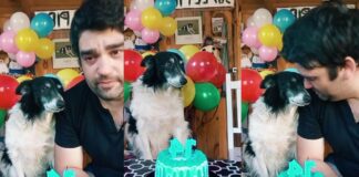 Dueño festeja a su perrito Pipo por 14 años de compañía y se viraliza