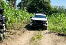 Hallan fosa clandestina en Tihuatlán, Veracruz; habría 14 cuerpos