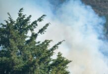 Incendio forestal en Ixtacamaxtitlán no representa riesgo para población: Gobernador Incendio