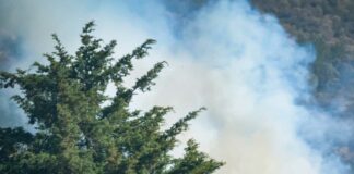 Incendio forestal en Ixtacamaxtitlán no representa riesgo para población: Gobernador Incendio