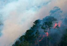 Controlan al 60% incendio en área natural protegida Iztaccíhuatl-Popocatépetl Incendio