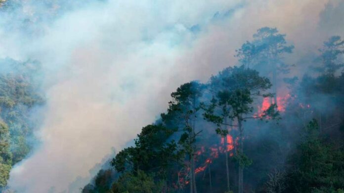 Incendio