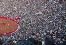 Plaza México sí tendrá corridas de toros, aprueba Tribunal Colegiado toros