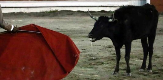 Animalista
